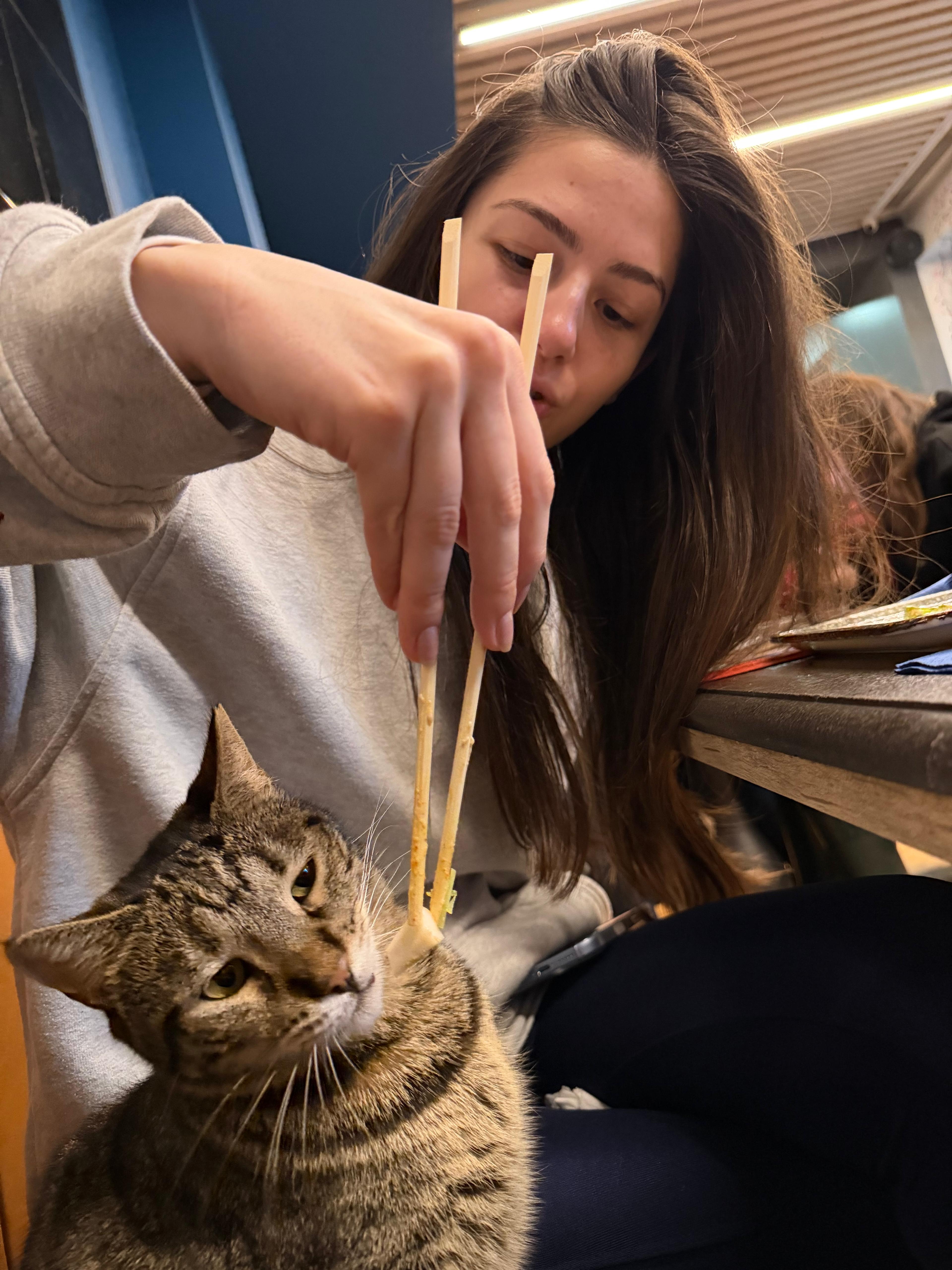 Chopsticks, a cat, and zero regrets